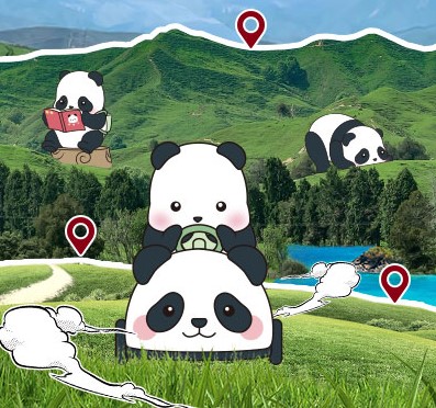 Ȥ | 918ֹXPanda Roll ƿС